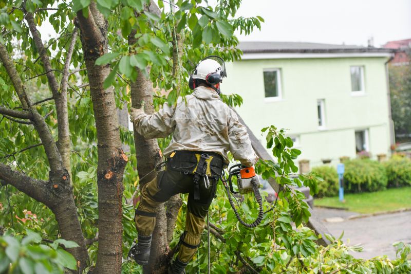 Arborist Spraying in Reno, NV
