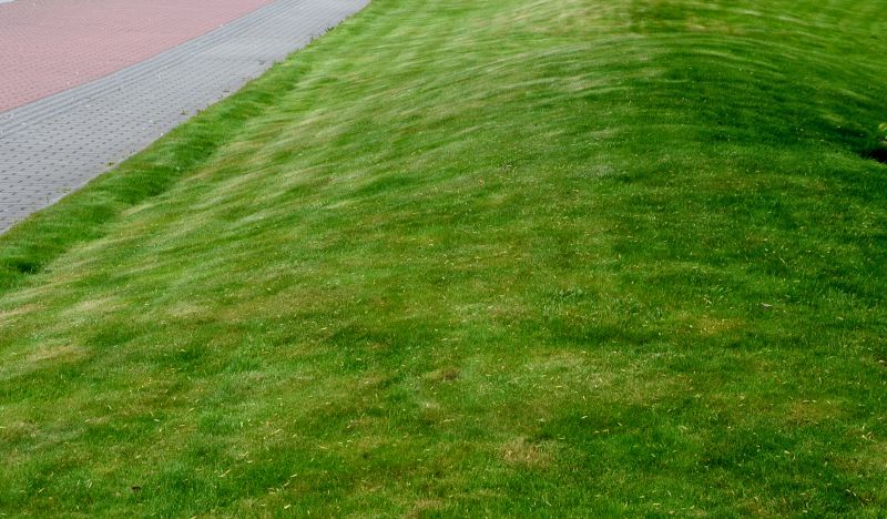 Damaged Yard Repair in Honolulu, HI