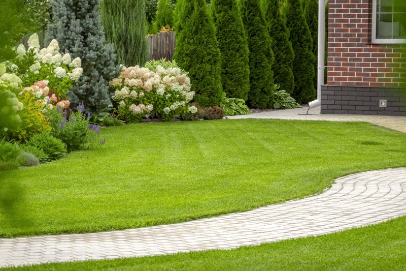 Landscaping Modification in Honolulu, HI