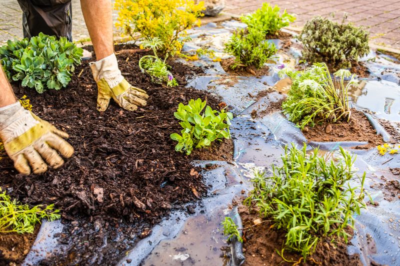 Organic Mulch Installation in Honolulu, HI