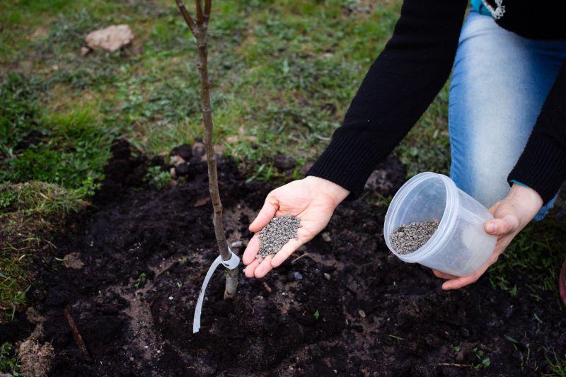 Shrub Care Service in Reno, NV