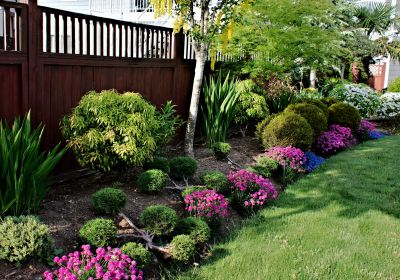 Small Garden Landscaping in Honolulu, HI