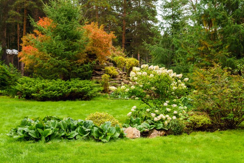 Xeriscape Landscaping in Honolulu, HI