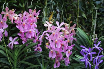 Residential Planting Services Are Available!